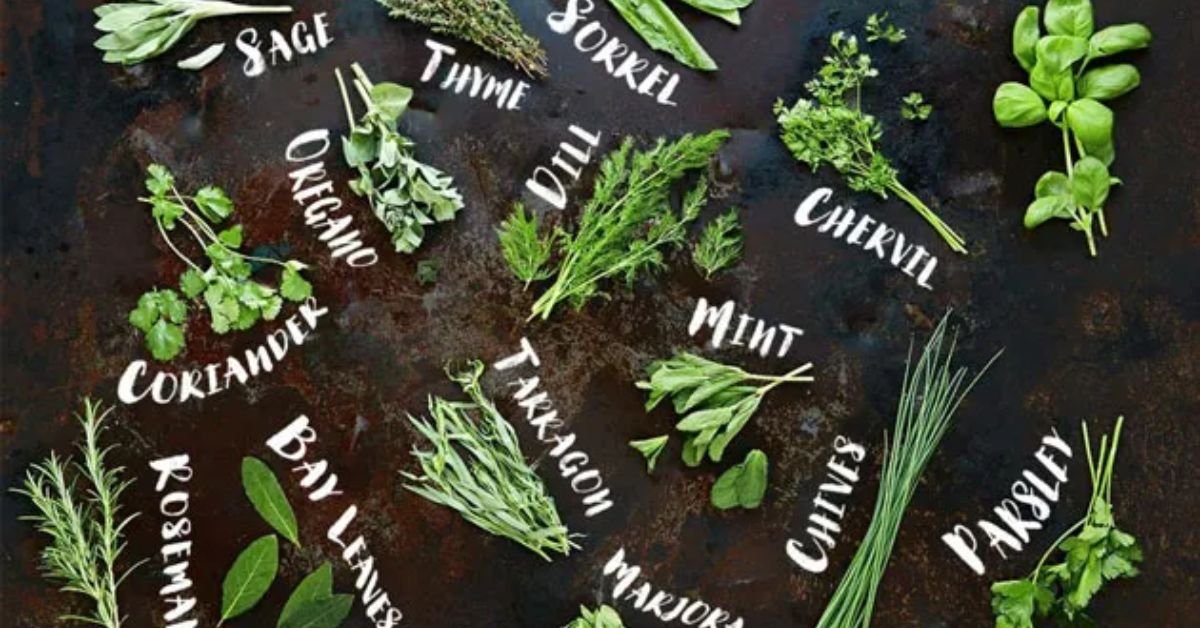 The Top Herbs for Natural Weight Loss